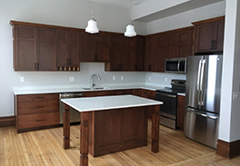 Condo kitchen build